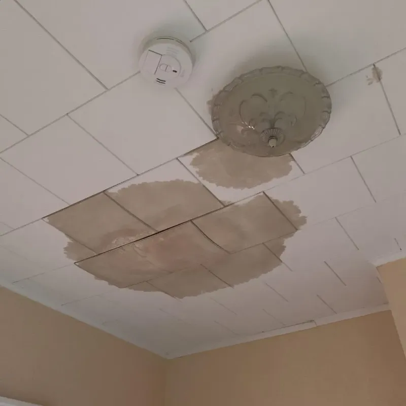 Ceiling Water Damage Repair in Woodbury, MN